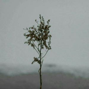 免费高清亚洲AV
